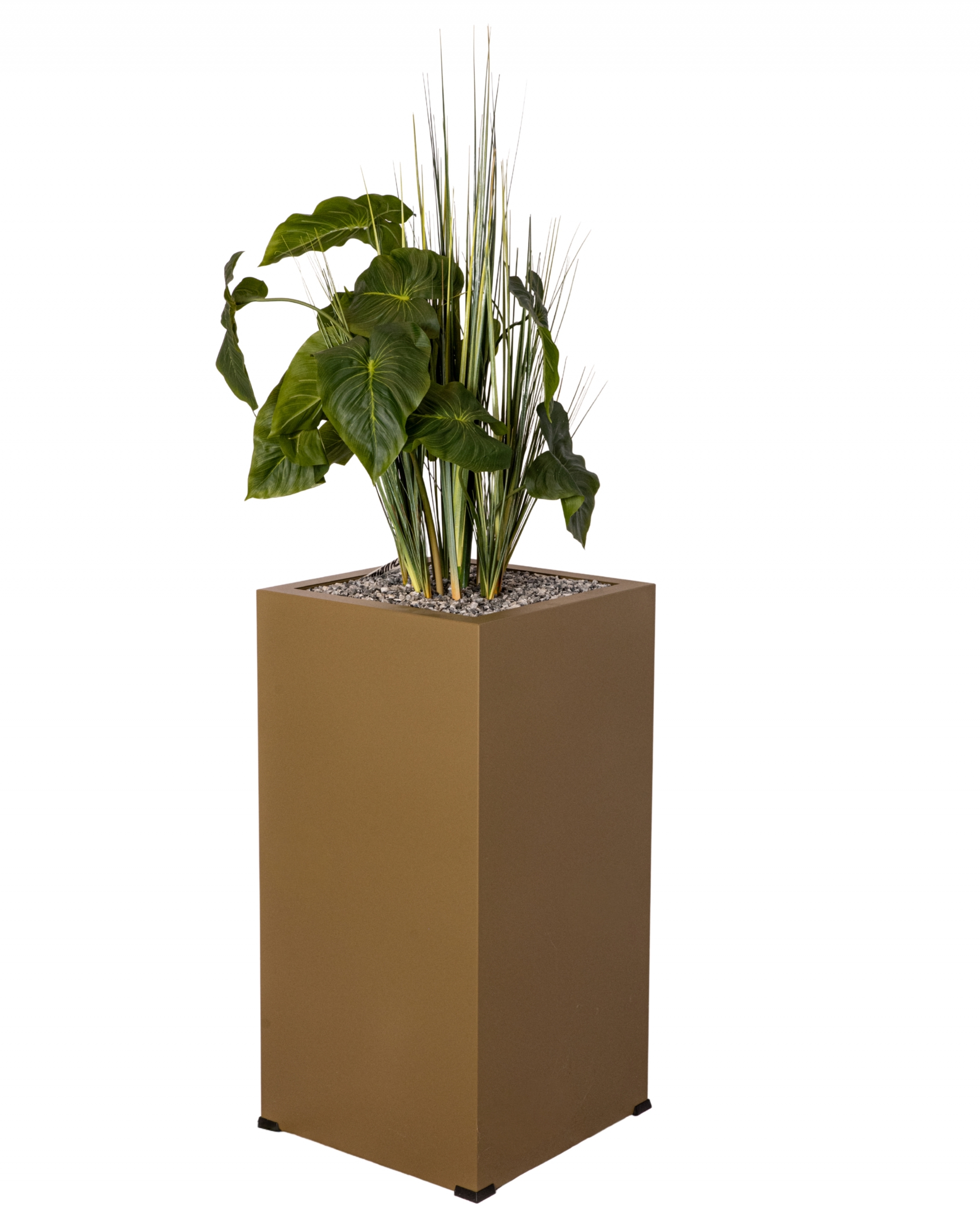 BH ANTHURIUM