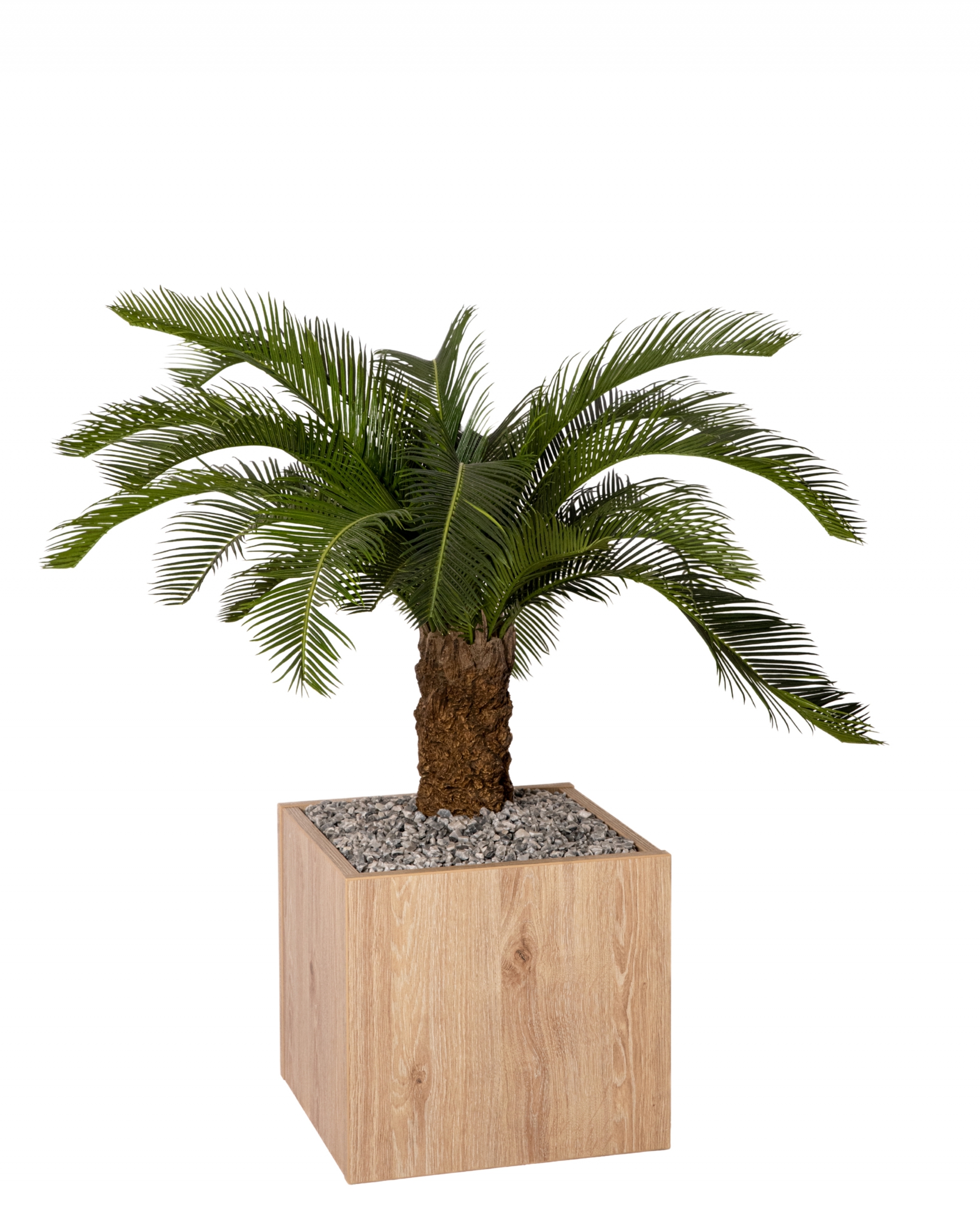 BOSCO PALMIER
