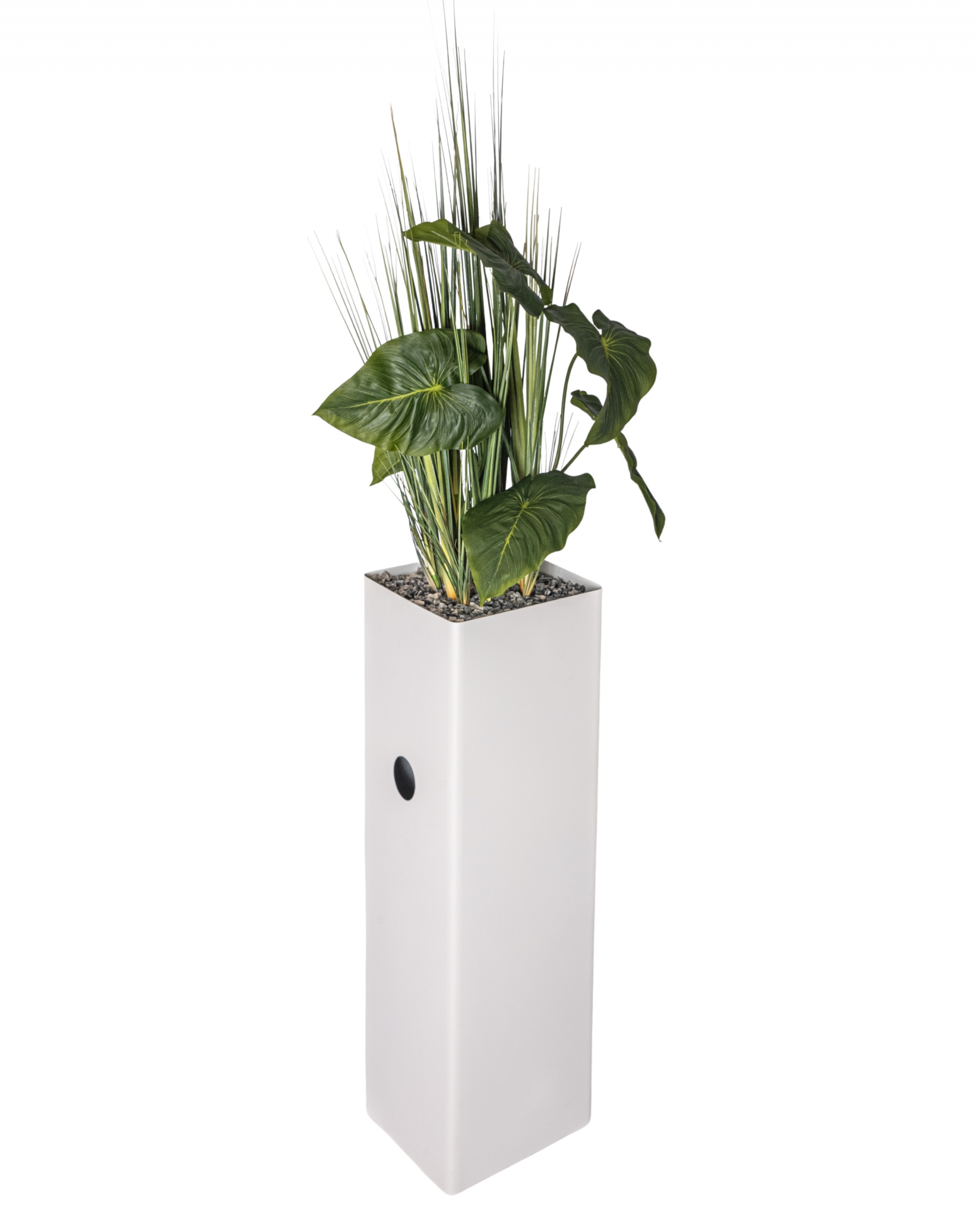 ST06 ANTHURIUM